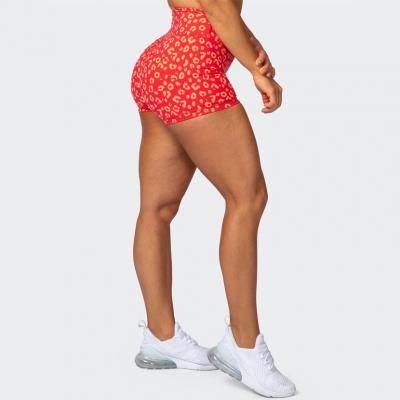 Hot Sale Leopard Print Fitness Yoga Plus Size Womens Gym Shorts